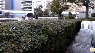 亚洲AV.亚洲美女色图片禁图日本免费一区香蕉视频,亚洲毛片免费一级,国产在线精品一区亚洲毛片免费一级,国产在线精品一区二区不卡麻豆